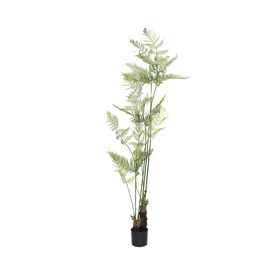 Fern EU
