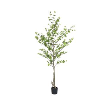 Enkianthus perulatus L, Green