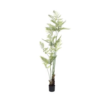 Fern XL, Green