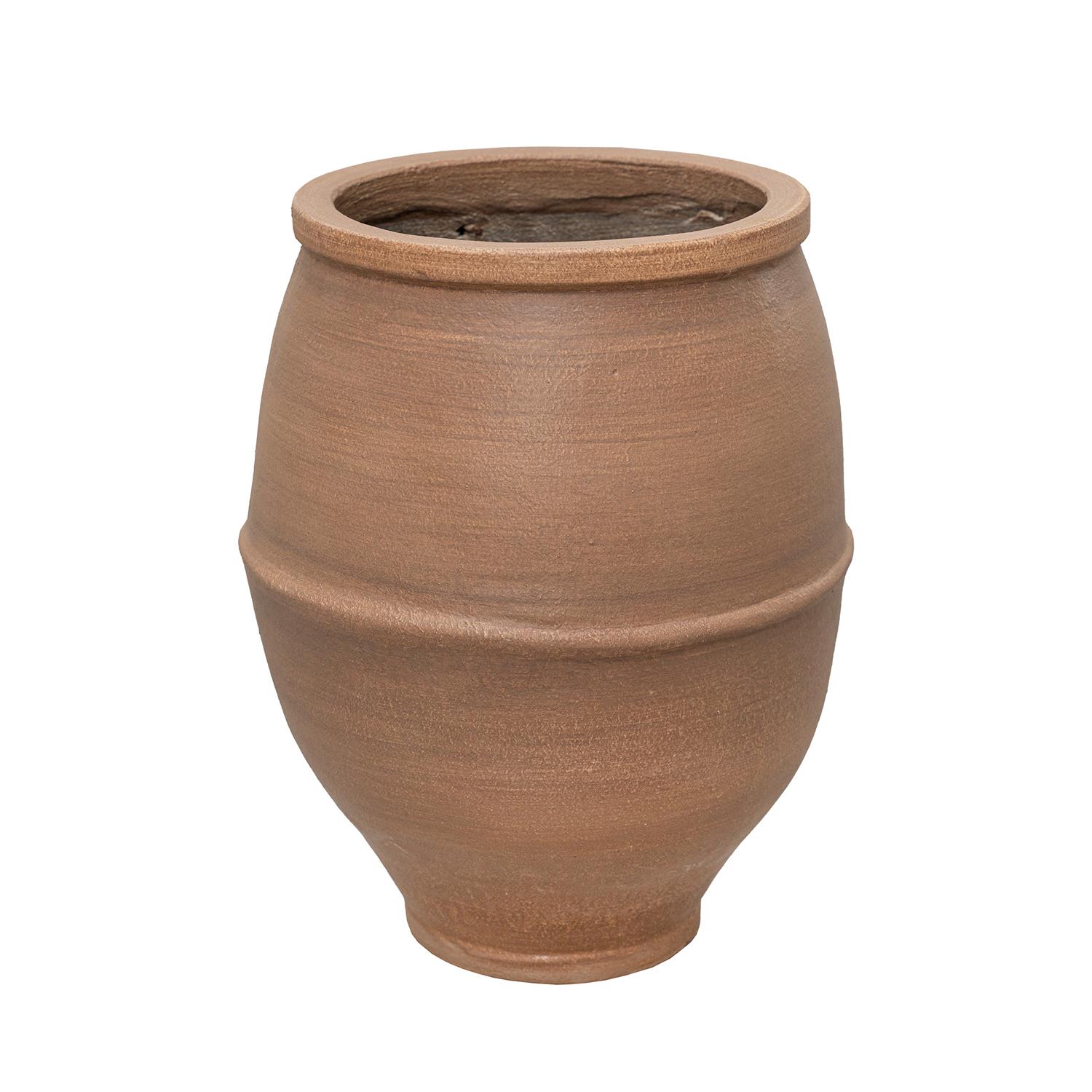 Elia L, Root Brown