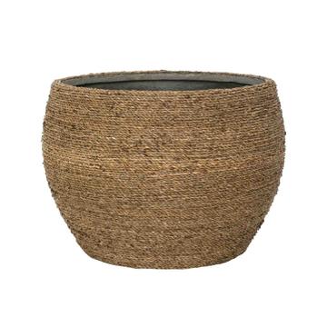 Abby L, Straw Grass