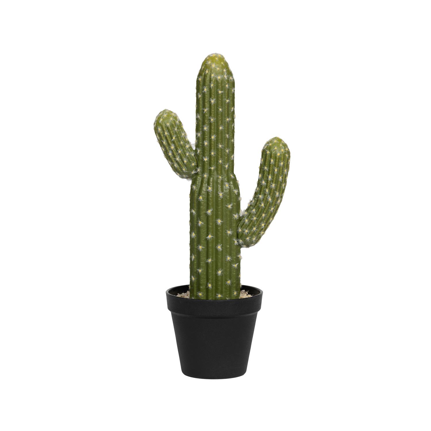 Cactus Saguaro S, Green