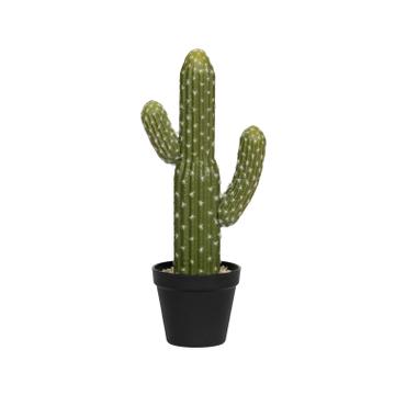 Cactus Saguaro S, Green