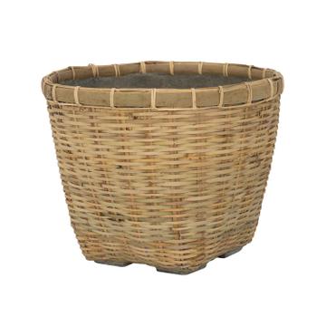 (S) Enrico M, Bamboo