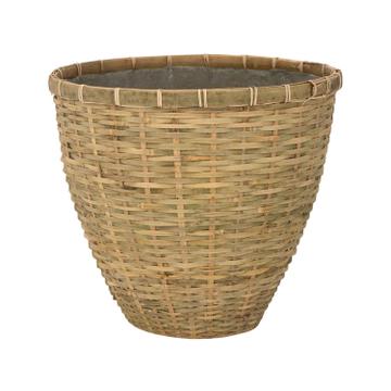 (S) Diego L, Bamboo